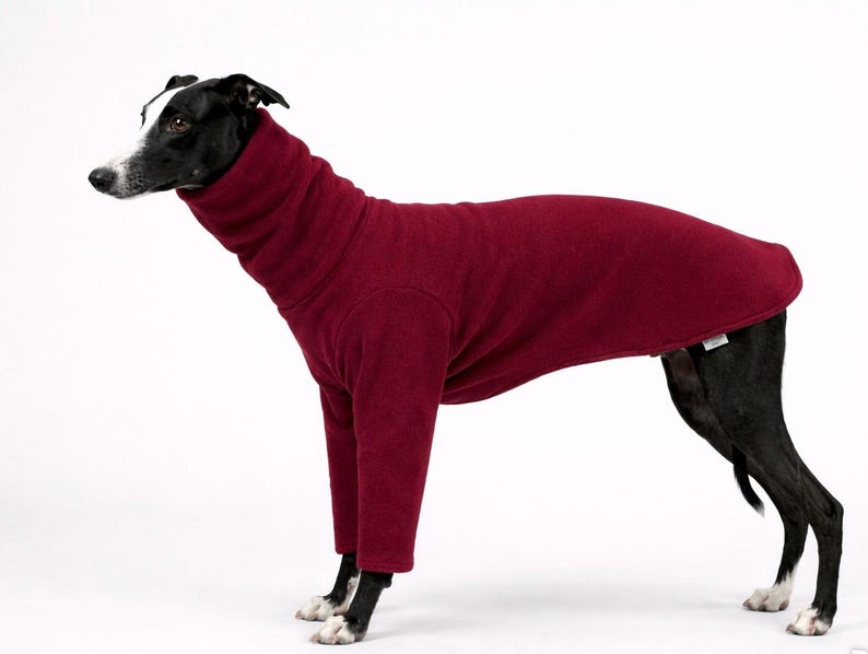 May include: A black and white dog wearing a burgundy fleece dog sweater with a high turtleneck collar and long sleeves. The dog is standing on a white background, showcasing the sweater's fit and design.