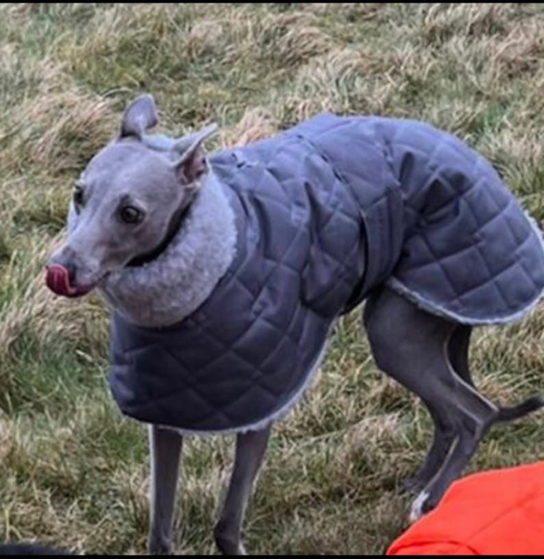 Waterproof greyhound coat with Sherpa fleece lined winter coats ,greyhound , whippet, lurcher, Italian Greyhound, extra warm coats image 6