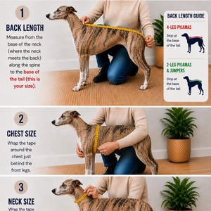 May include: Guide on how to measure a Whippet for jumpers and pajamas. Instructions include measuring back length, chest size, and neck size. Includes diagrams for 4-leg and 2-leg pajamas.