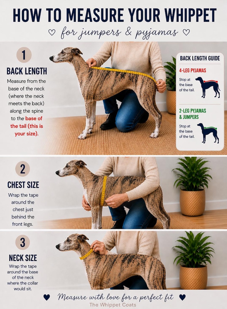May include: Guide on how to measure a Whippet for jumpers and pajamas. Instructions include measuring back length, chest size, and neck size. Includes diagrams for 4-leg and 2-leg pajamas.