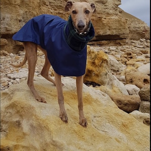 Manteau Greyhound, Manteau pour chien, Manteau doublé polaire, Manteau Whippet, Veste pour chien, Imperméable pour chien, Veste Whippet, image 5