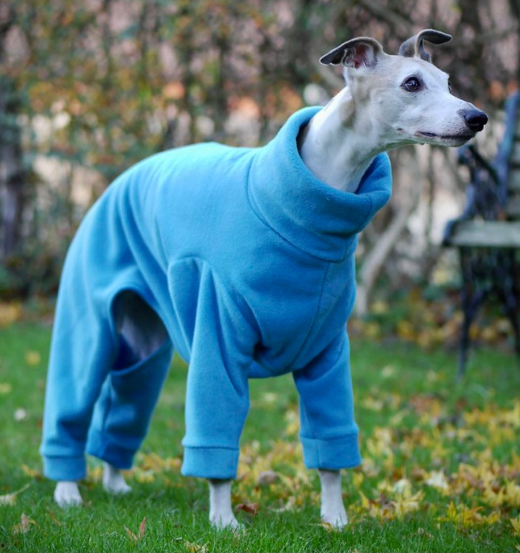 whippet pjs