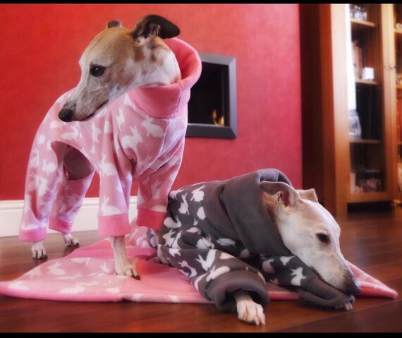 whippet pyjamas