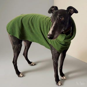 May include: A black Greyhound dog wearing a green fleece dog coat. The dog is standing on a light gray surface, with a neutral background. The dog's coat is a solid, vibrant green color.