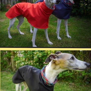 Imperméables d'été doublés de coton Whippet et Greyhound. image 7