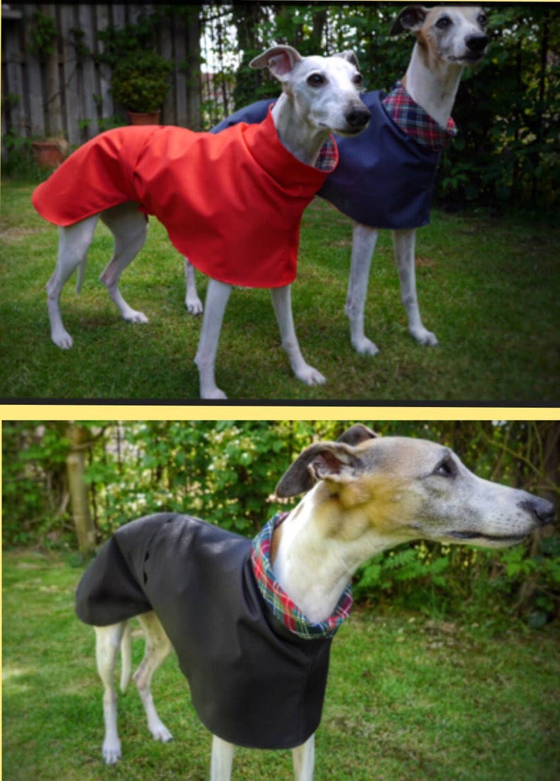 Imperméables d'été doublés de coton Whippet et Greyhound. image 7