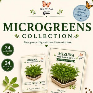 May include: A digital download set for a microgreens collection featuring 24 A6 cards and 24 A5 guides. The design includes illustrations of Mizuna microgreens, butterflies, and text detailing growing instructions, nutrition, and variety information.