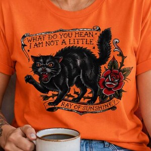 May include: An orange short-sleeved t-shirt featuring a graphic of a black cat with arched back and red eyes, a red rose, and the text: WHAT DO YOU MEAN I AM NOT A LITTLE RAY OF SUNSHINE? The design is framed by decorative scrollwork elements.