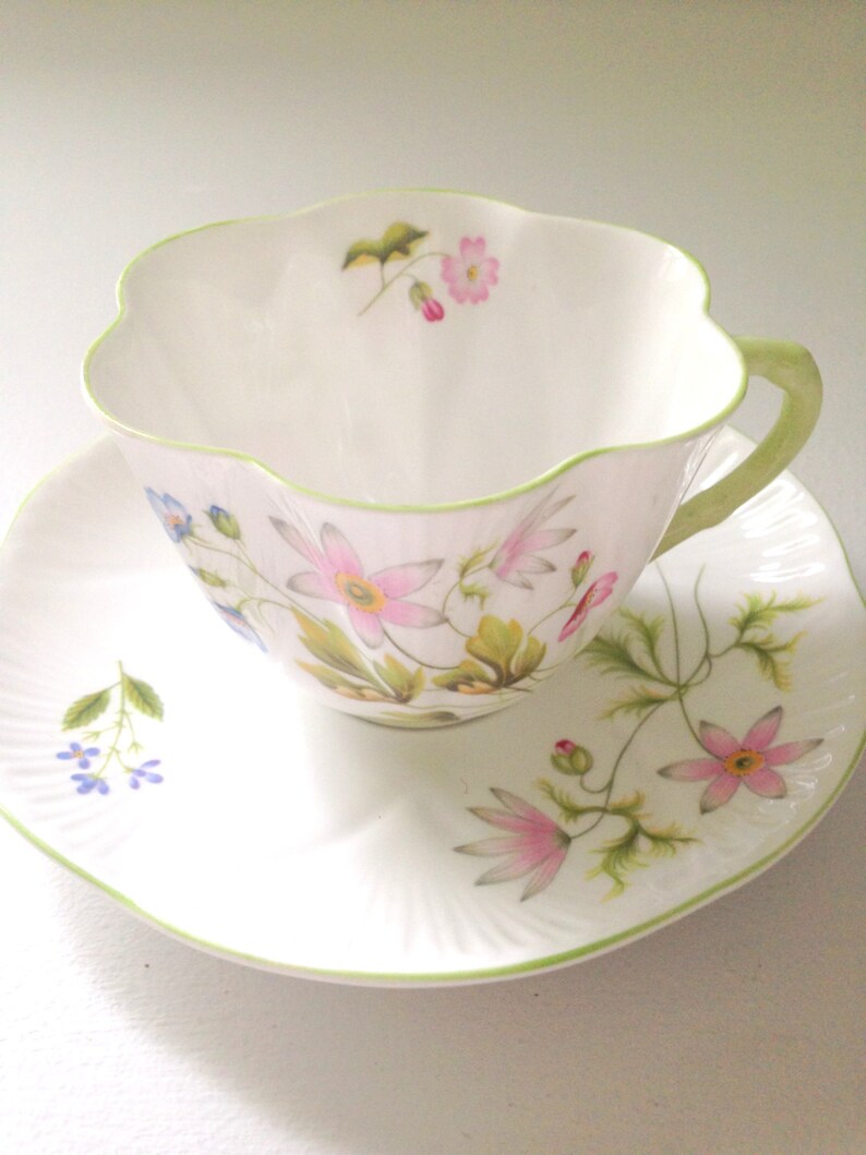 Antique Shelley English Fine Bone China Wild Anemone Pattern Etsy