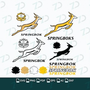 Puede incluir: Una colección de gráficos digitales con siluetas de springboks saltando y emblemas florales en oro, negro y blanco. El conjunto incluye etiquetas de texto SPRINGBOK y SPRINGBOKS, junto con varios iconos de formato de archivo como SVG, PNG, PDF, EPS, AI y DXF.