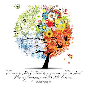 Könnte beinhalten: Eine farbenfrohe Illustration eines Baumes mit vier Jahreszeiten. Der Baum hat grüne Blätter, Blumen, Sonnenblumen und Herbstblätter. Das Zitat "To every thing there is a season, and a time to every purpose under the heaven. Ecclesiastes 3:1" steht unter dem Baum.