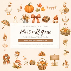 Herfstgans 4K aquarel clipart, decor kinderkamer, PNG, transparante ontwerpelementen, decor kinderkamer, transparante achtergrond, Instant Download