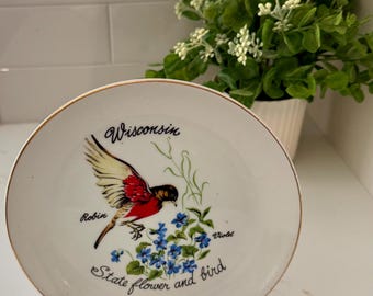 Vintage Wisconsin State Bird and Flower Decorative Plate | Robin and Violet Wall Hanging | Made in Korea | State Souvenir | 7.25 Inch