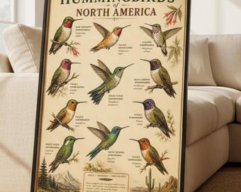 Hummingbirds Of North America Poster Hummingbird Identification Chart Vintage Bird Print Pollinator Wall Art Gift Birdwatchers