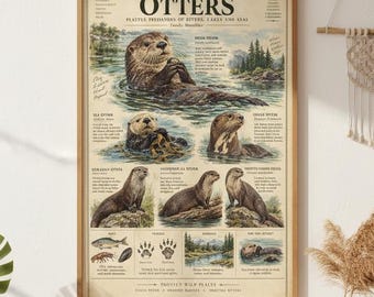 Otter Poster Vintage Wildlife Art Print Otter Wall Art Natural History Field Guide River Otter Sea Otter Nature Decor Gifts For Otter Lovers