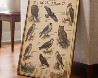 Birds Of Prey North America Poster Raptor Identification Chart Vintage Wildlife Print Hawk Eagle Owl Wall Art Gift Birdwatchers