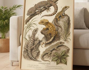 Gecko Poster Vintage Gecko Chart Natural History Print Reptile Wall Art Leopard Tokay Crested Gecko Herpetology Gift Decor