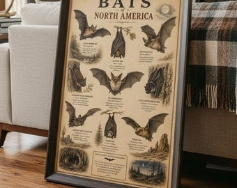 Bats Of North America Poster Bat Identification Chart Vintage Wildlife Print Natural History Wall Art Biology Decor Gift Bat Lovers