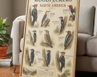 Woodpeckers Of North America Poster Woodpecker Identification Chart Vintage Bird Print Wildlife Wall Art Gift Birdwatchers