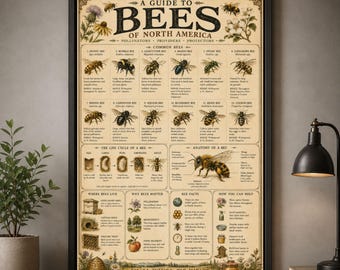 Bee Poster Vintage Bee Chart Pollinator Wall Art Beekeeping Print Honey Bee Decor Botanical Gift For Beekeeper Gardener Home