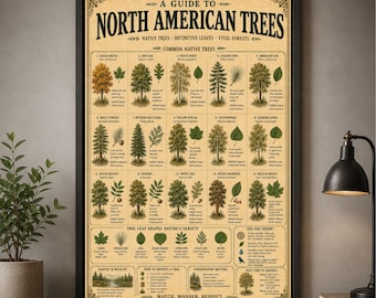 North American Trees Poster Vintage Botanical Tree Chart Tree Identification Print Woodland Wall Art Forestry Decor Cabin Gift For Gardeners
