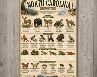 North Carolina Wildlife Poster Birds Mammals Reptiles Pollinators Field Guide Nature Wall Art Cabin Decor Gift For Nature Lovers