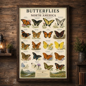 May include: A framed educational poster titled Butterflies of North America, featuring twenty detailed illustrations of various butterfly species with their common and scientific names, set against a cream background with a landscape scene at the bottom.