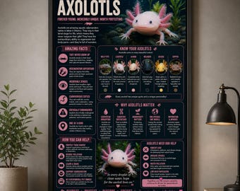 Axolotl Poster Axolotl Anatomy Chart Educational Wall Art Amphibian Infographic Science Classroom Decor Gift Animal Lover