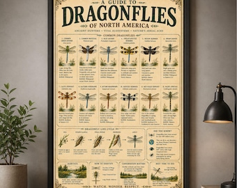 Dragonfly Poster Vintage Dragonfly Chart Nature Wall Art Entomology Print Insect Decor Garden Gift For Gardener Classroom Home Office