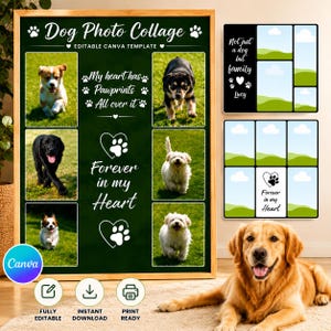 Puede incluir: Una plantilla de collage de fotos para perros en verde oscuro con seis marcos para fotos, iconos de huellas blancas y texto que dice Dog Photo Collage, My heart has Pawprints All over it y Forever in my Heart, junto a dos opciones.