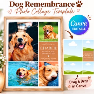 May include: A digital dog remembrance photo collage template featuring a wooden frame design. The layout includes four photo slots, a central text box with the name Charlie, dates, and the phrase Gone from sight, but never from my heart.