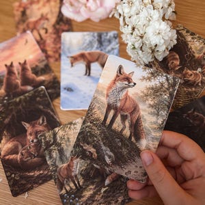 Fox Story Cards for Kids | Fox Illustrations, Sequencing Activity (Digital Download)
