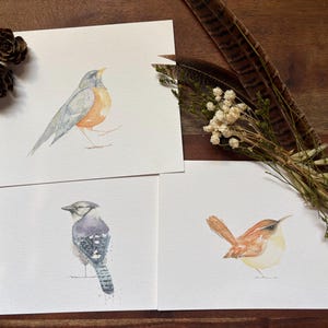 May include: Three rectangular white cards featuring watercolor illustrations of birds. One card shows a robin, another a blue jay, and the third a wren. The cards are decorated with two small brown pinecones and a bundle of dried flowers and a feather.