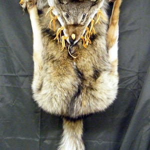 Coyote BackPack