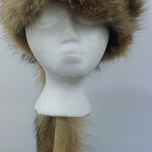 Coyote Davy Crockett
