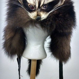 Raccoon with Face and Ear Flaps
