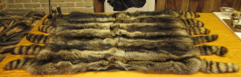 Raccoon Blanket zdjęcie 3