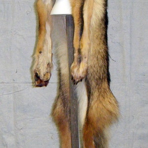 Coyote Mountain Man Hat