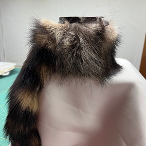 Raccoon W/tail Can Holder