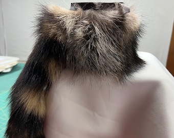 Raccoon W/tail Can Holder