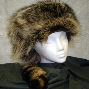 Raccoon davy Crockett