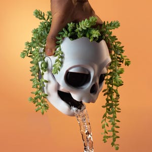 May include: A white skull-shaped planter with a smooth finish, overflowing with trailing light green succulent foliage. Water is visibly pouring from the open mouth of the skull, creating a continuous stream against a solid orange background.