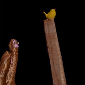 May include: A small yellow bird perched on top of a tall, rectangular brown wooden post. To the left, a pair of brown animal paws with light pink paw pads are visible, showing textured fur details and distinct toes against a black background.