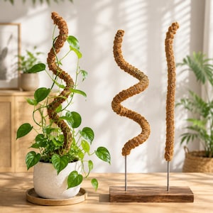 May include: A green leafy plant in a speckled white pot with a tall, spiraling brown coir moss pole. Beside it, two additional brown coir moss poles are mounted on a rectangular wooden base, one in a spiral shape and one straight vertical pole.