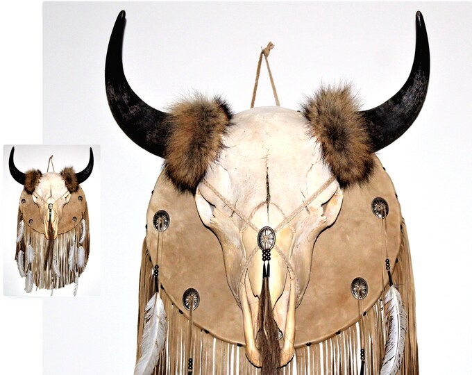 Real American Buffalo Skull, South Dakota Buffalo