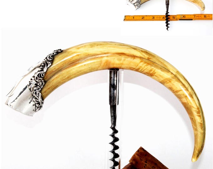 Antique Corkscrew with Boar-Tusk Handle and a Sterling Silver Cap, Wine Bottle Opener
