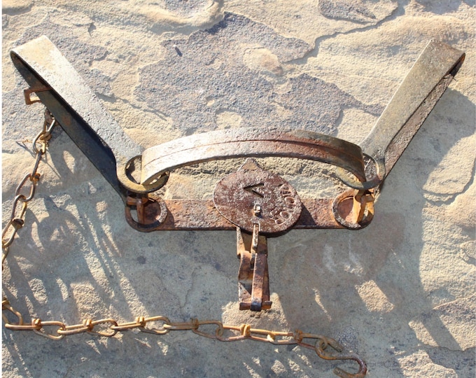 Victor 4 Large Double Long Spring Animal Trap, Fur Trapper