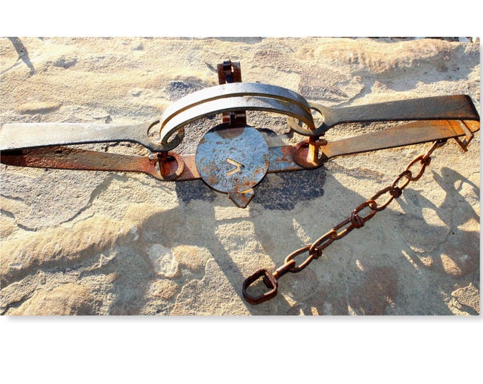 Victor 3 Double Long Spring Animal Trap with Offset Jaws, Fur Trapper