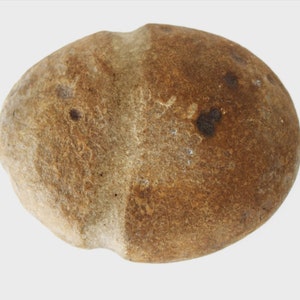 May include: A smooth, brown, oval-shaped stone with a slightly indented center. The stone has a rough, textured surface and appears to be naturally formed.