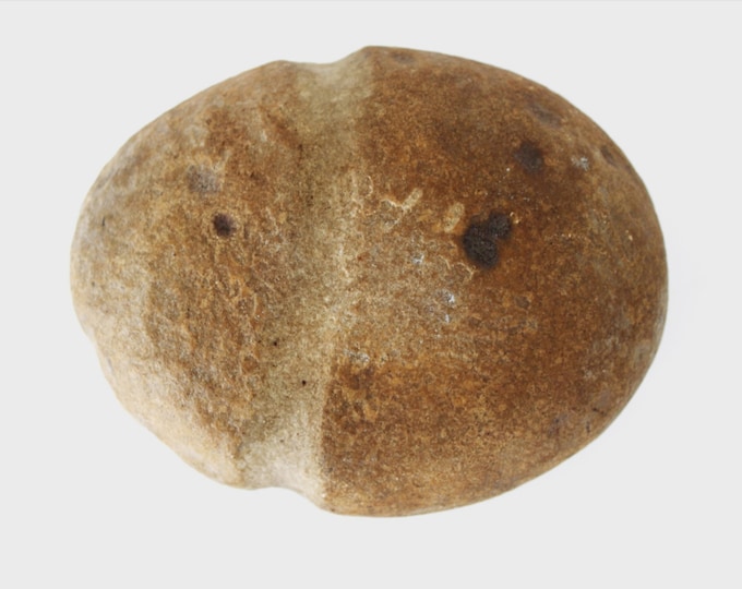 American Indian Artifact Hammer Head / Axe Head, Found Near Big Timber Montana
